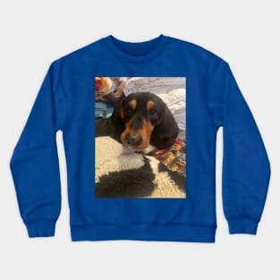 My Pup, Zsa Crewneck Sweatshirt